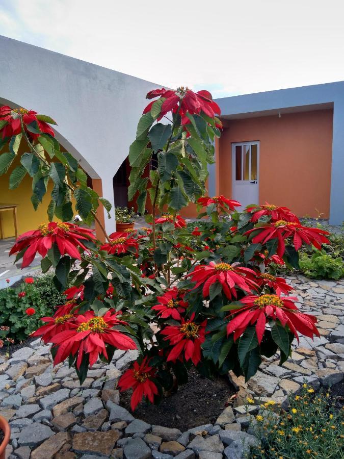 Casa Alcindo Acomodação com café da manhã Portela Exterior foto