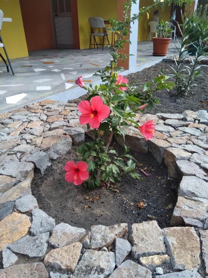 Casa Alcindo Acomodação com café da manhã Portela Exterior foto